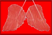 Engelsflügel Rot 3er